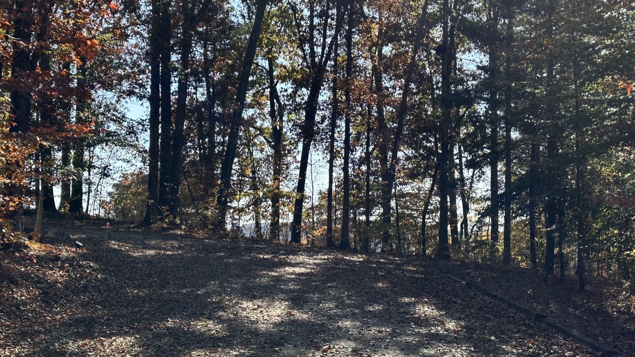 Photo of Others in Murphy