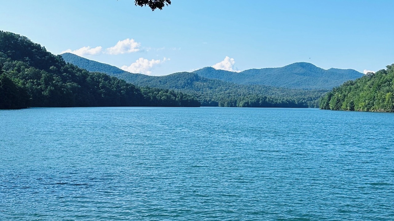 Photo of Others in Murphy