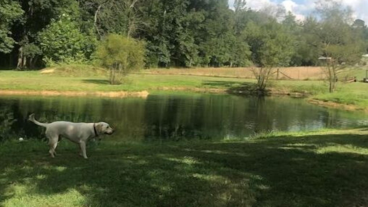 Photo of Others in Stokes