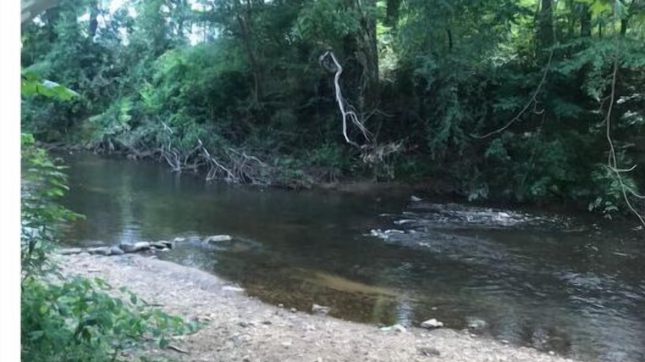 Photo of Outdoor in Stokes
