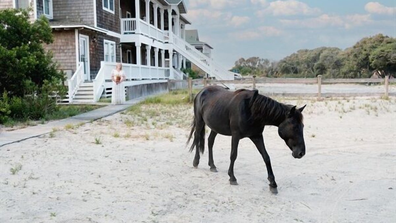 Photo of Others in Corolla
