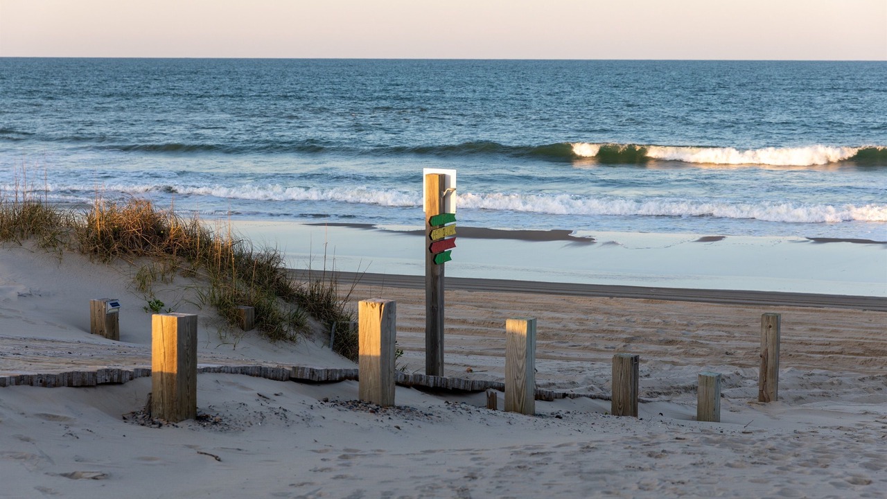 Photo of Others in Corolla