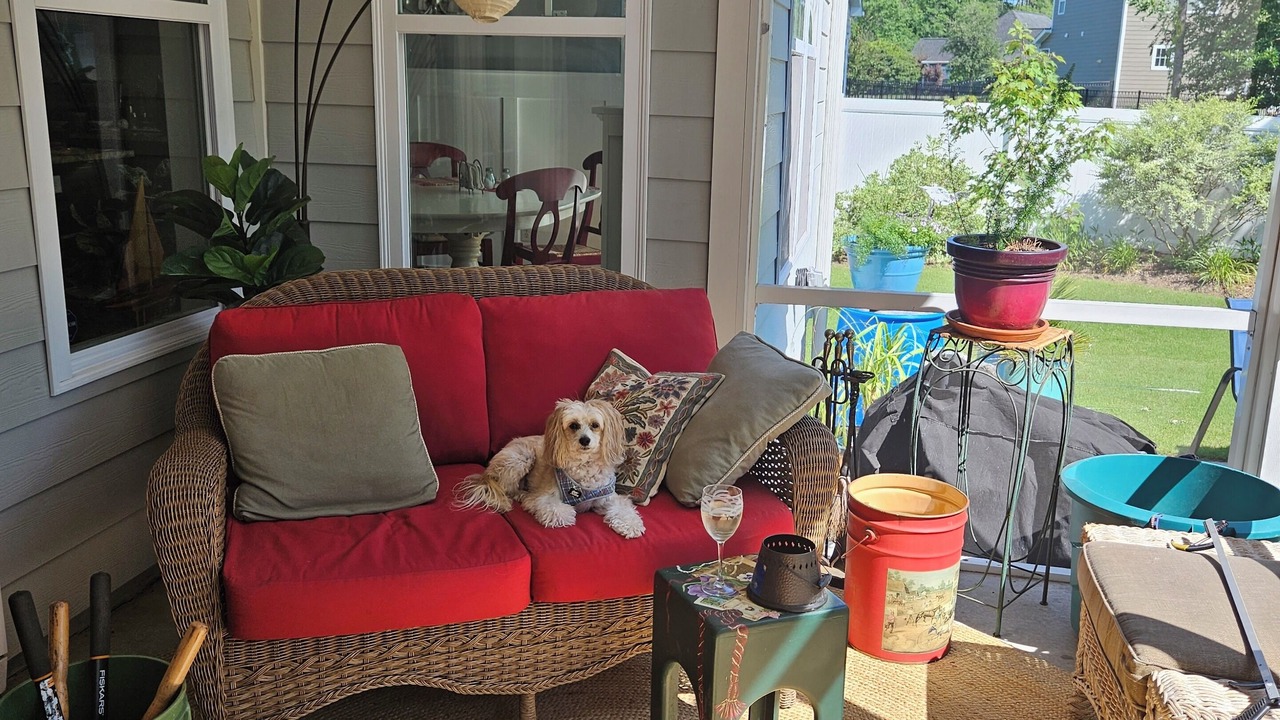 Photo of Livingroom in Shallotte