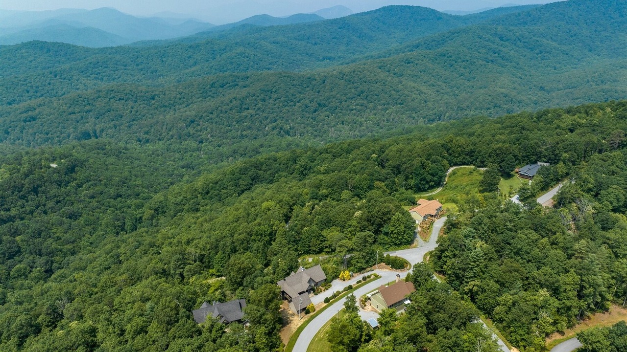 Photo of Others in Pisgah Forest