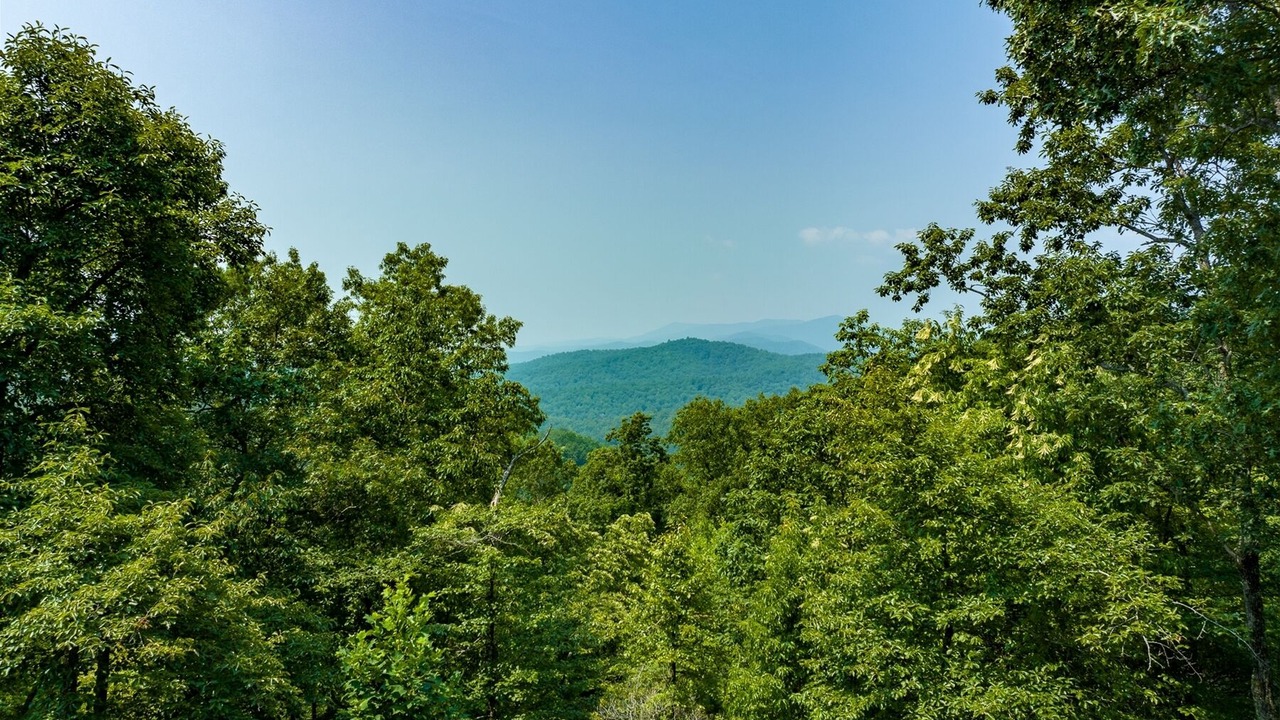 Photo of Others in Pisgah Forest