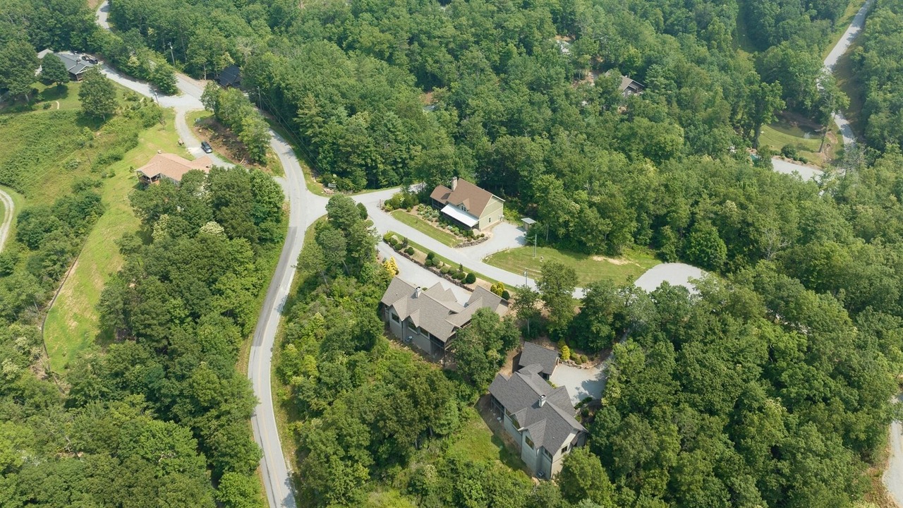Photo of Others in Pisgah Forest