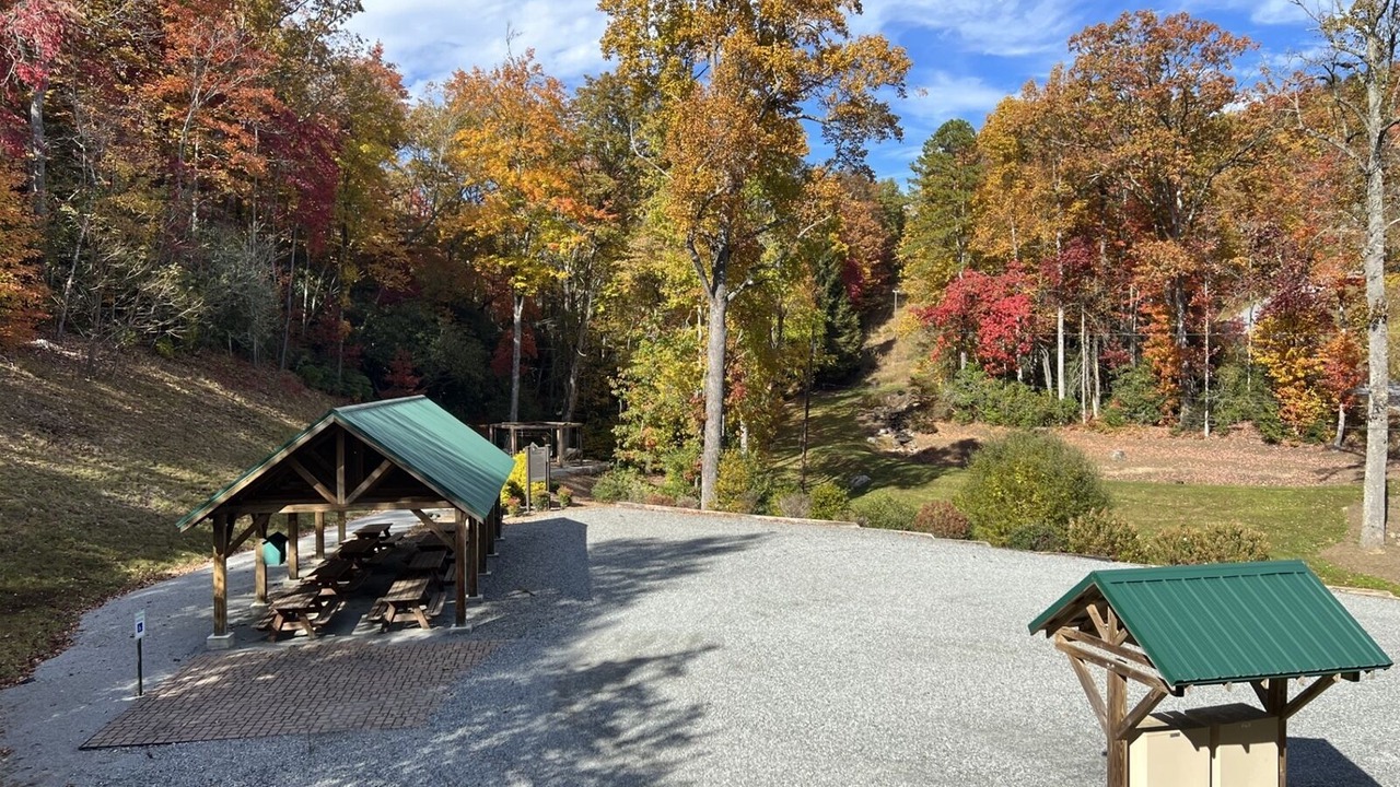 Photo of Outdoor in Pisgah Forest