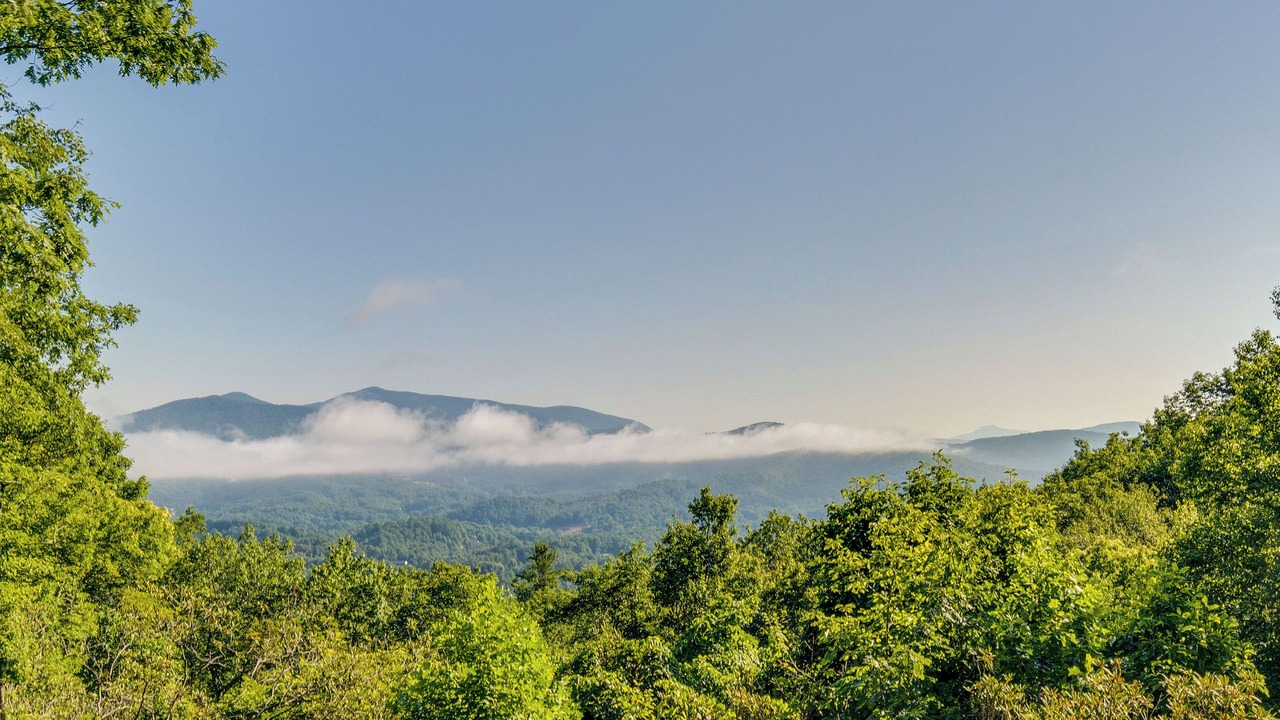 Photo of Others in Spruce Pine