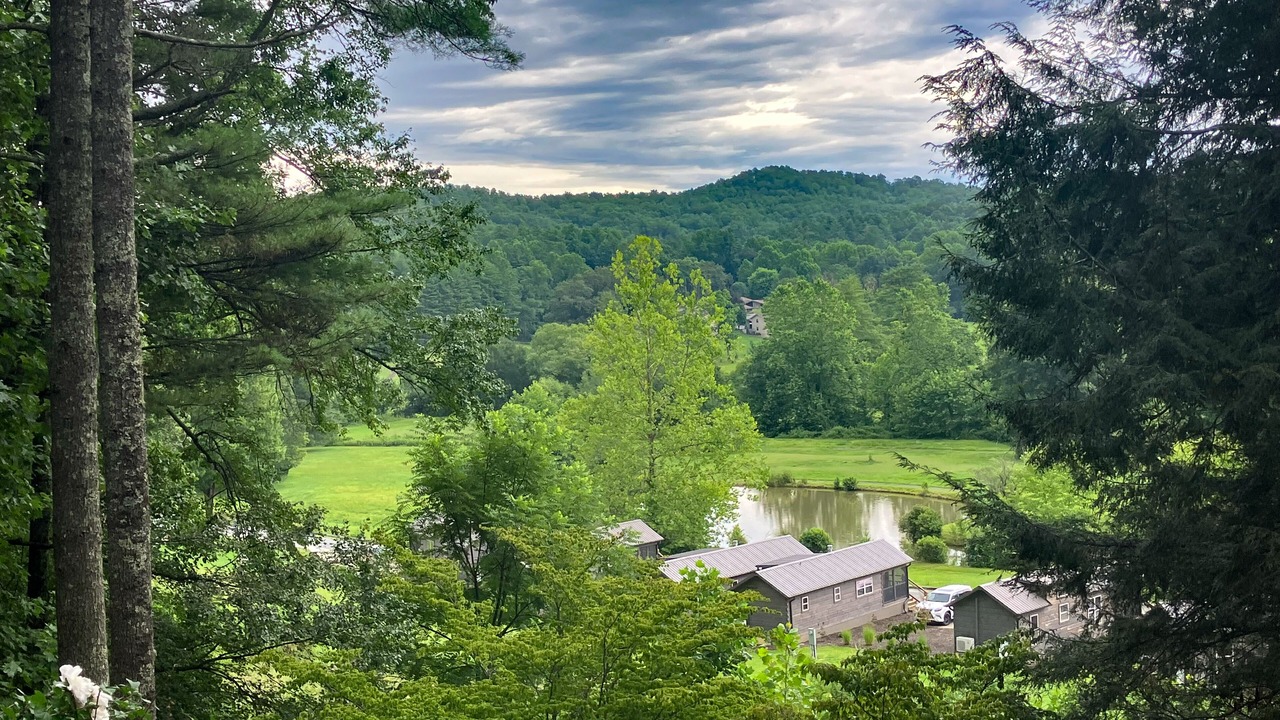 Photo of Outdoor in Pisgah Forest