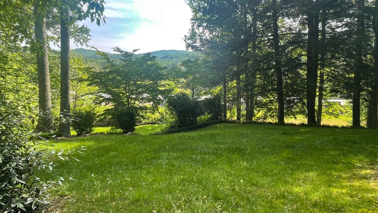 Photo of Outdoor in Pisgah Forest