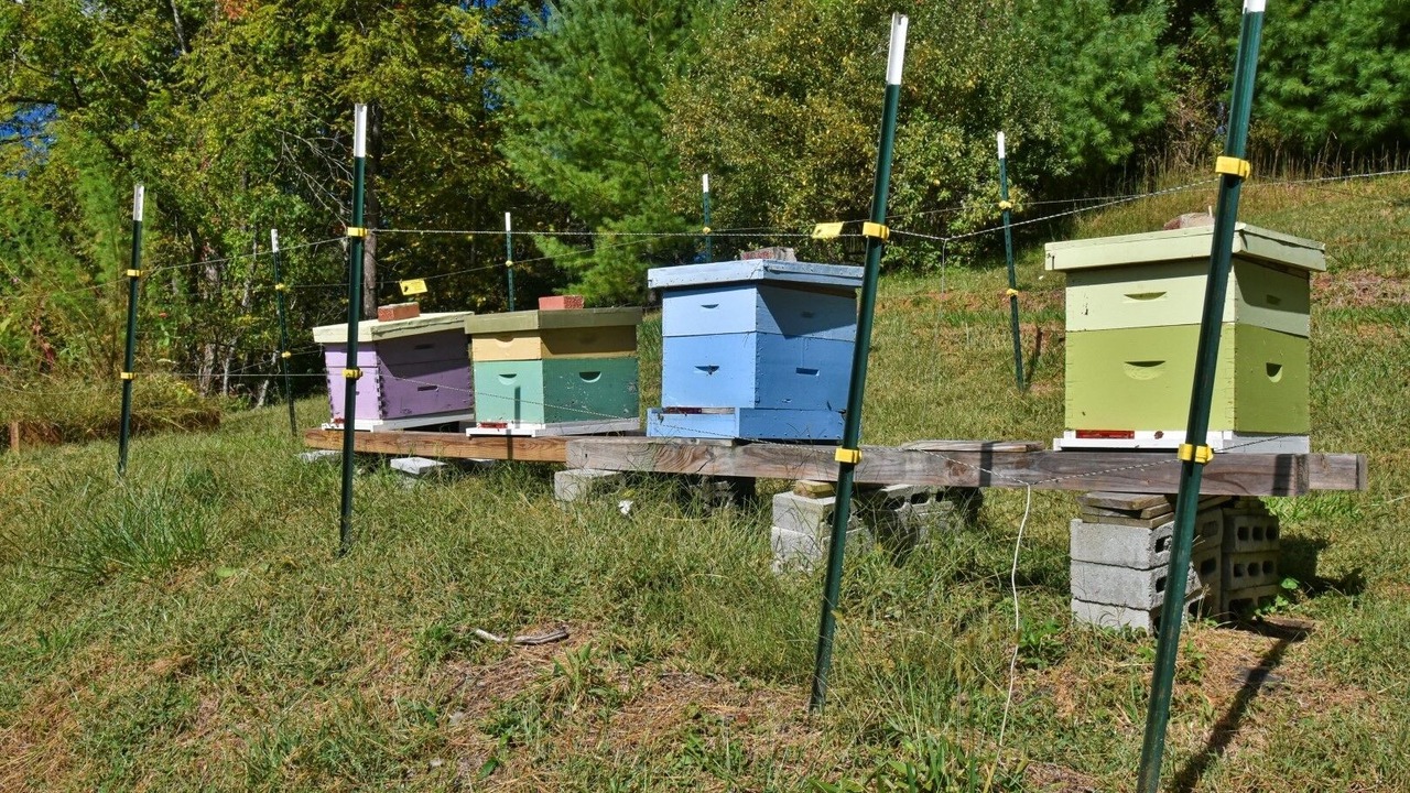 Photo of Others in Burnsville