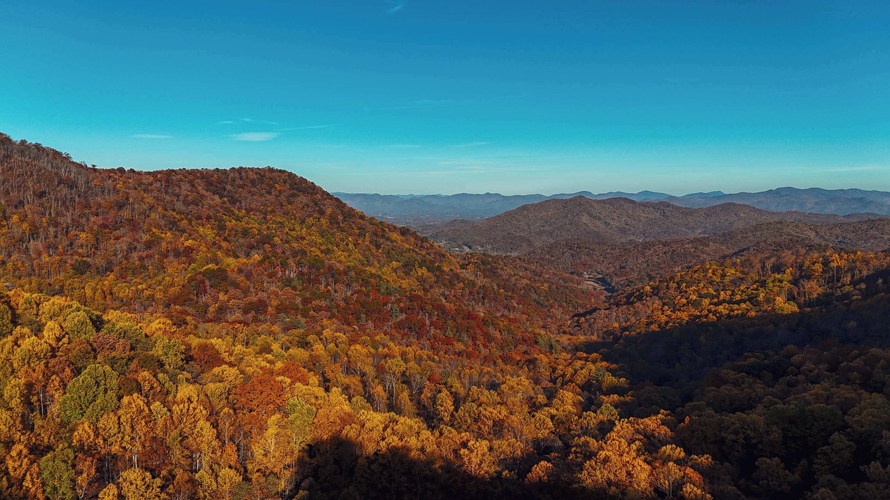 Photo of Others in Saluda