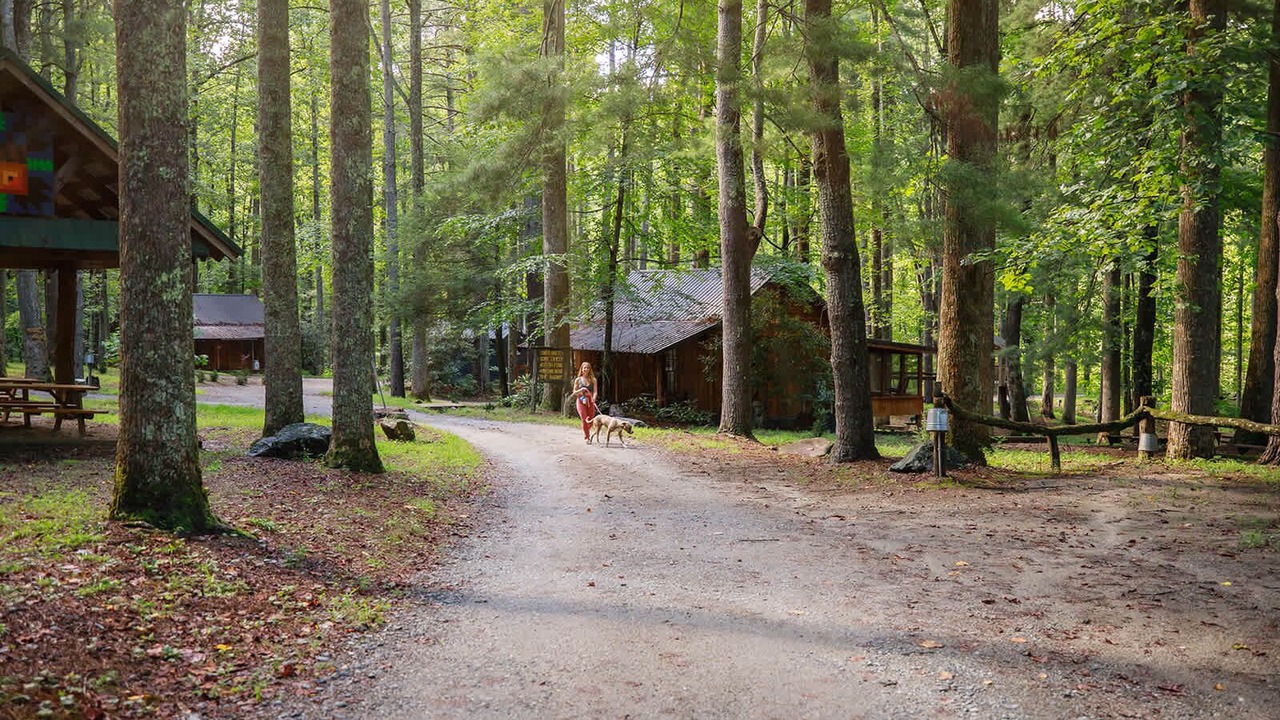 Photo of Others in Saluda