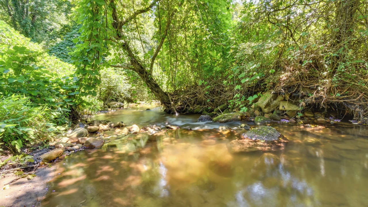 Photo of Outdoor in Rocky Bottom