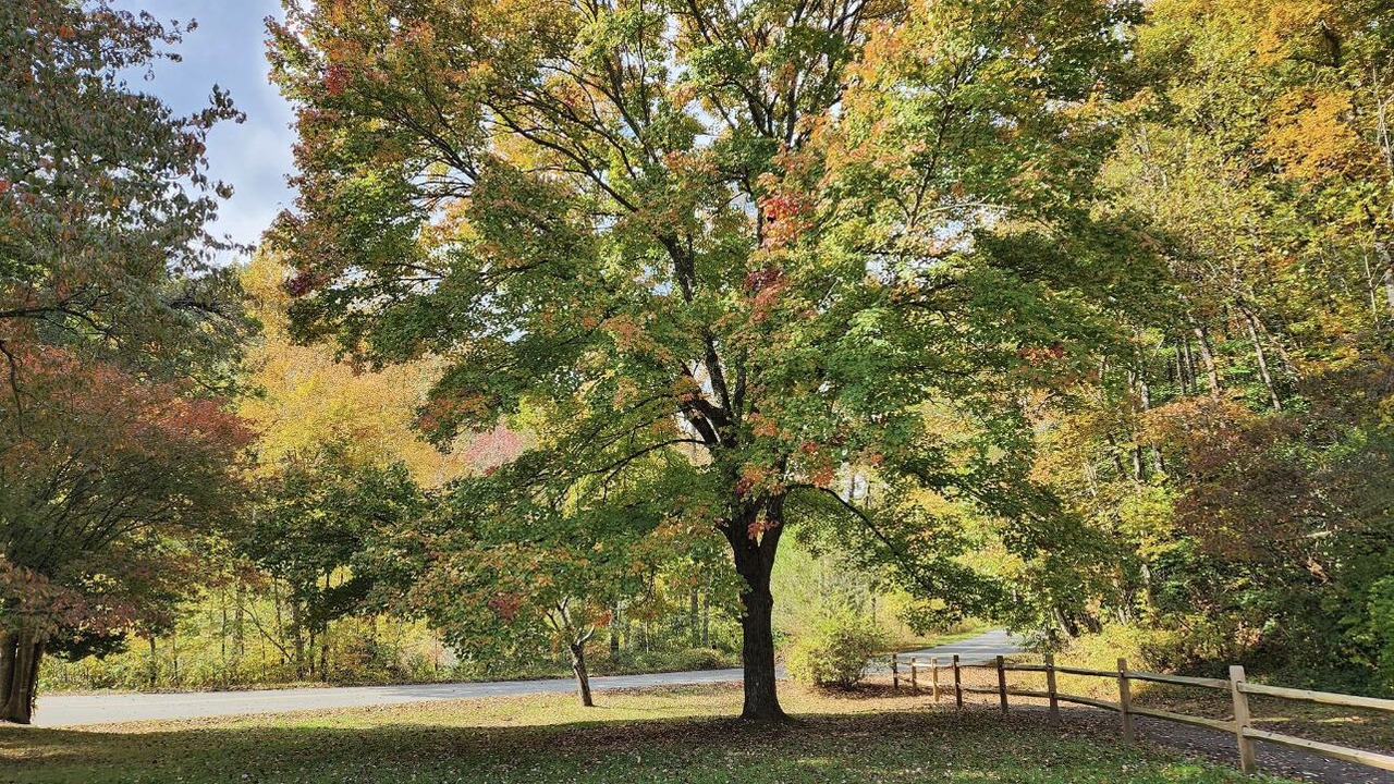 Photo of Others in Robbinsville