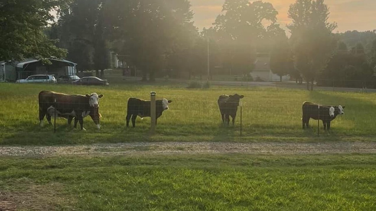 Photo of Others in Scotts