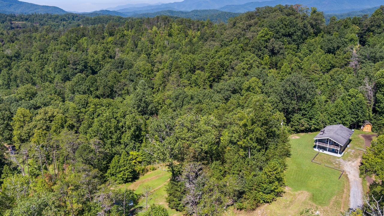 Photo of Outdoor in Qualla