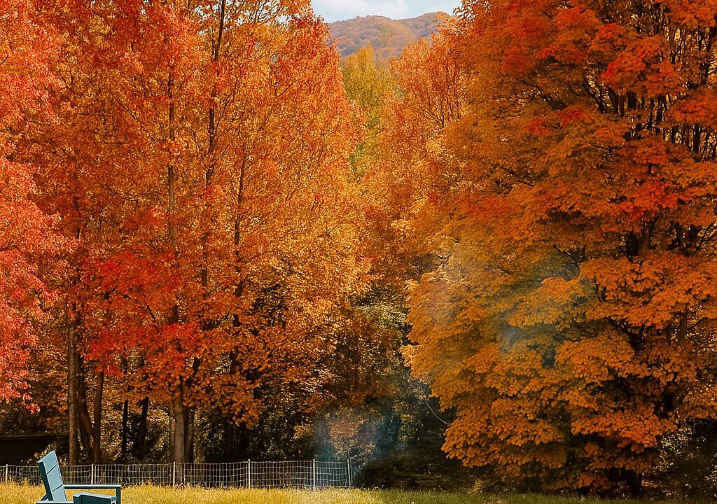 Photo of Outdoor in Weaverville
