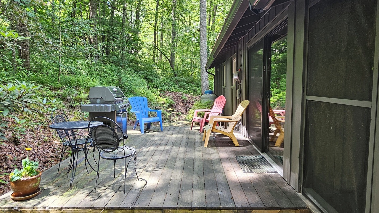 Photo of Outdoor in Brevard