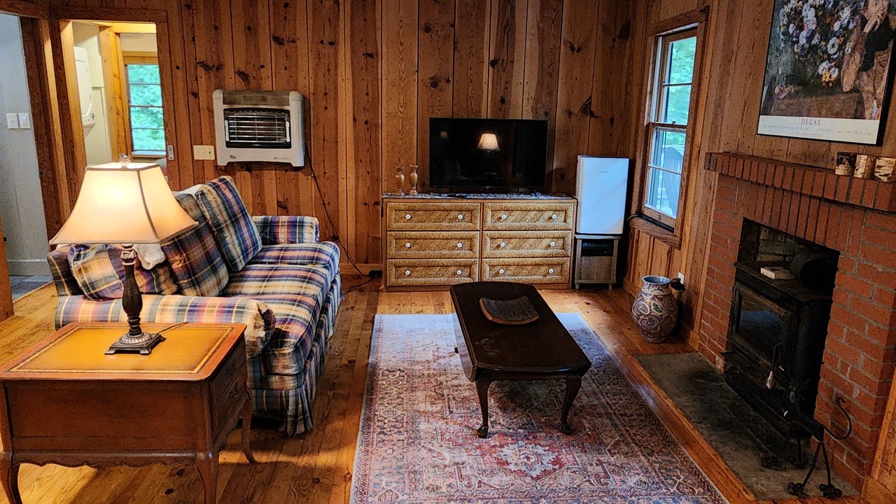 Photo of Livingroom in Brevard