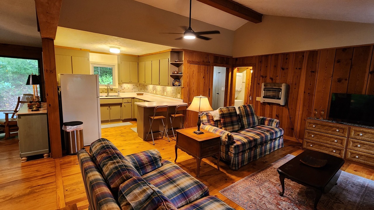 Photo of Livingroom in Brevard