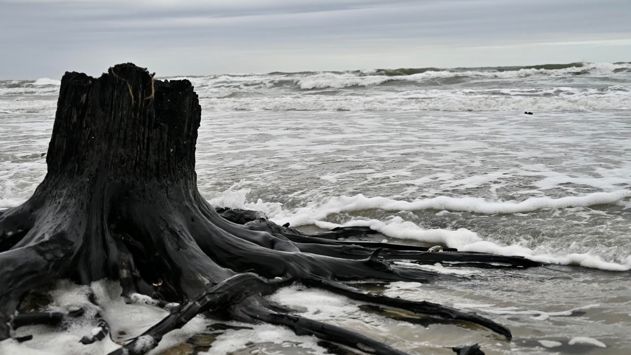 Photo of Others in Carova Beach