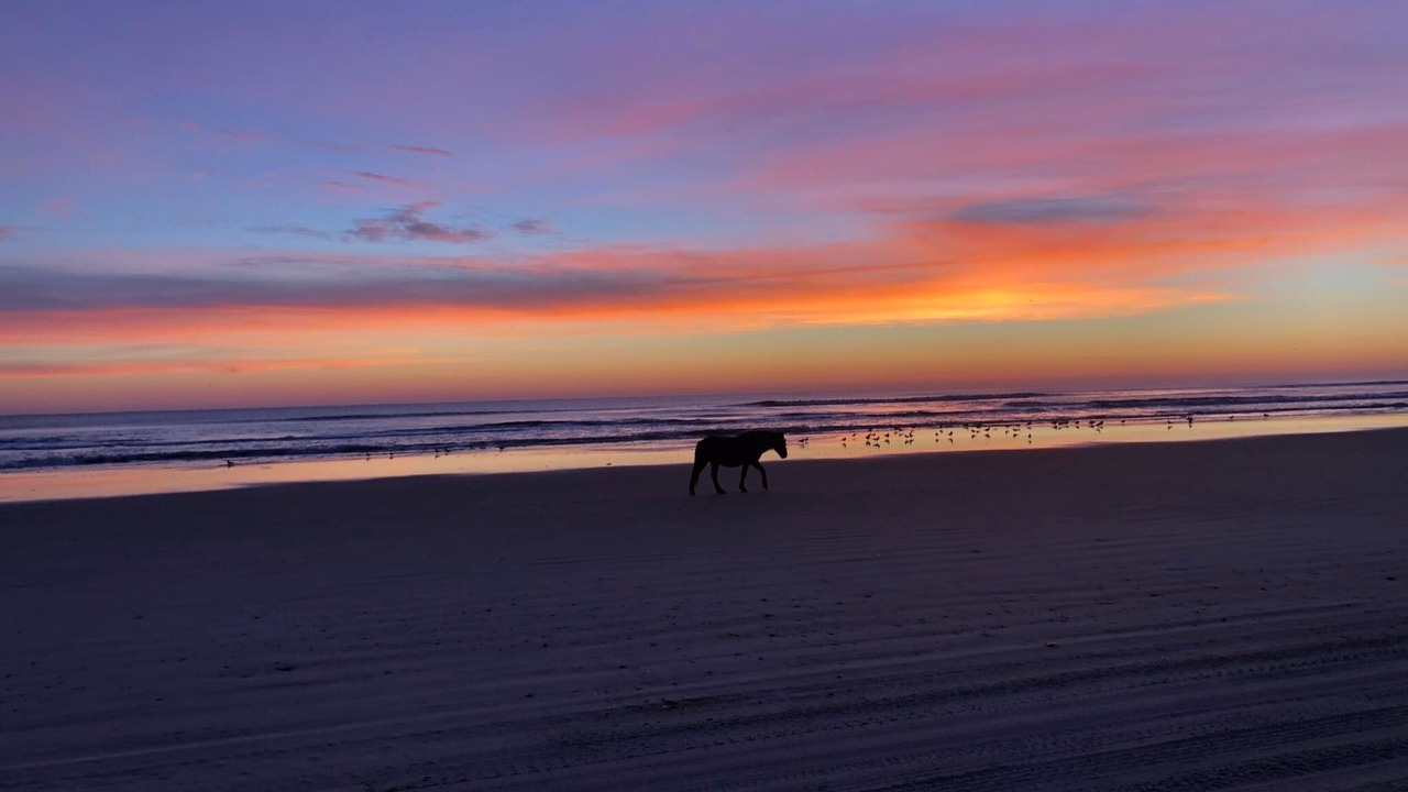 Photo of Others in Carova Beach