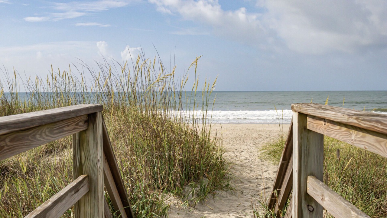 Photo of Others in Sea Trail
