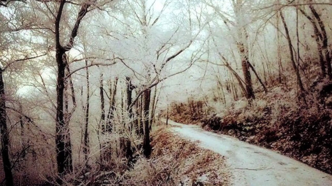 Photo of Outdoor in Gerton