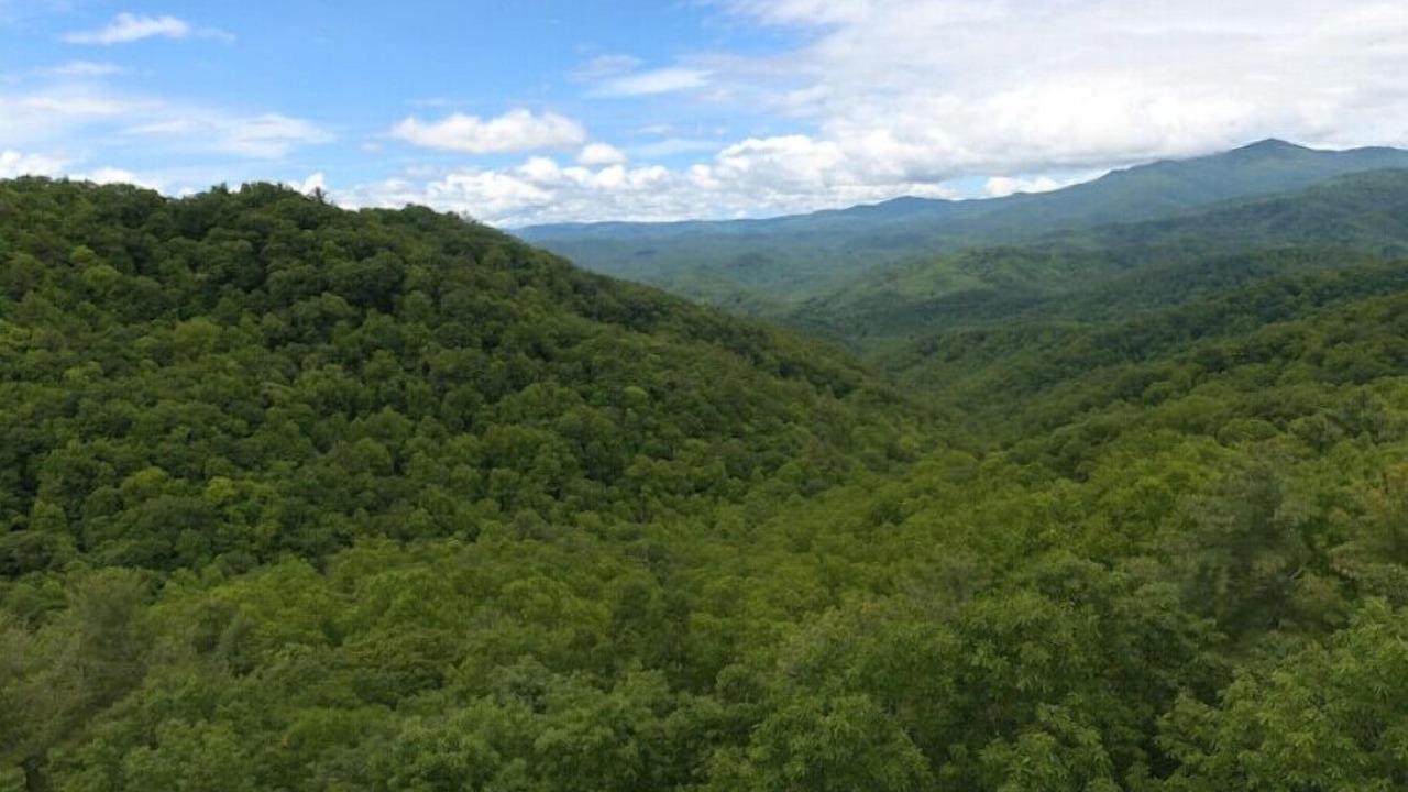 Photo of Outdoor in Apple Ridge
