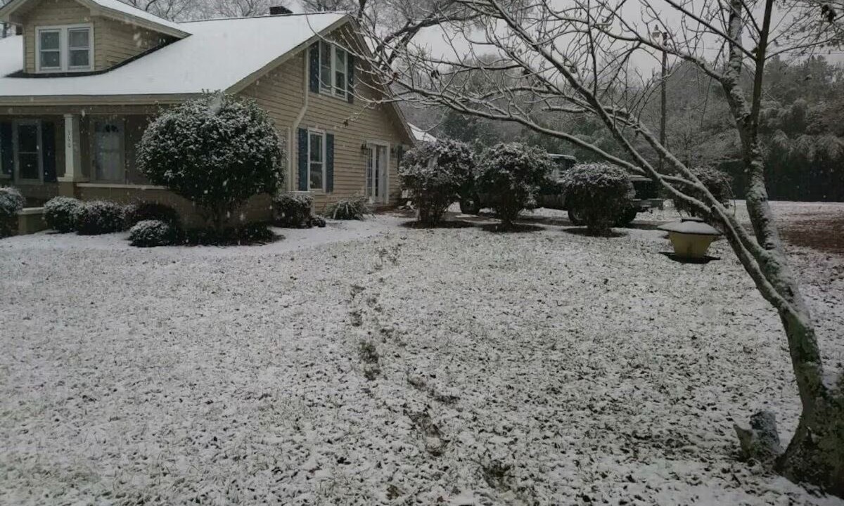 Photo of Outdoor in Forest City