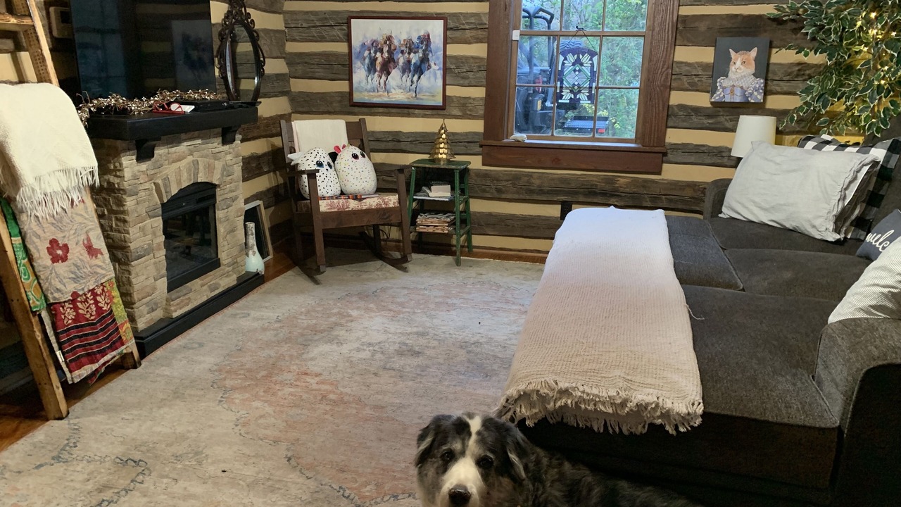 Photo of Livingroom in Stokes