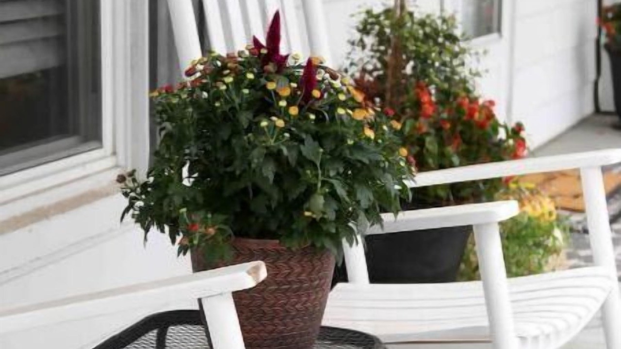 Photo of Patio Balcony in King