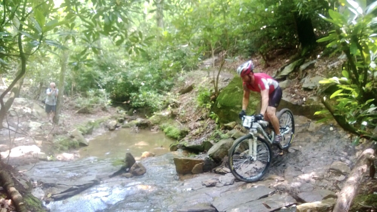 Photo of Outdoor in Stokes