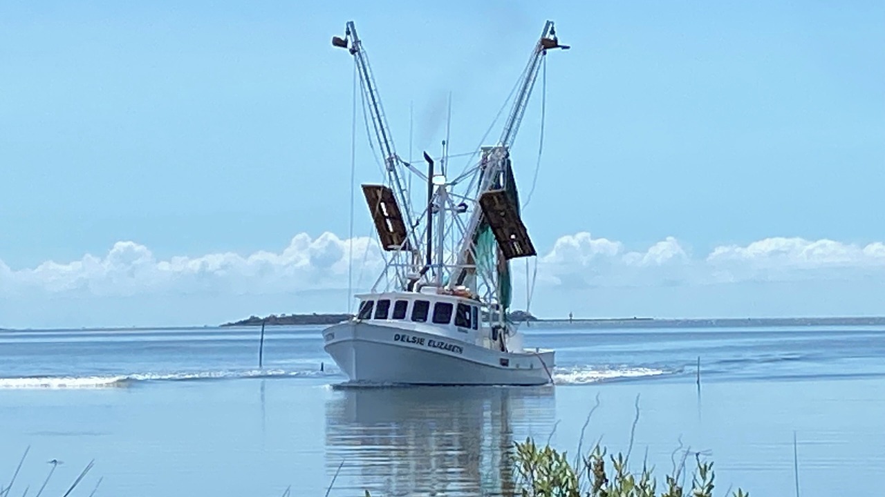 Photo of Others in Cedar Island