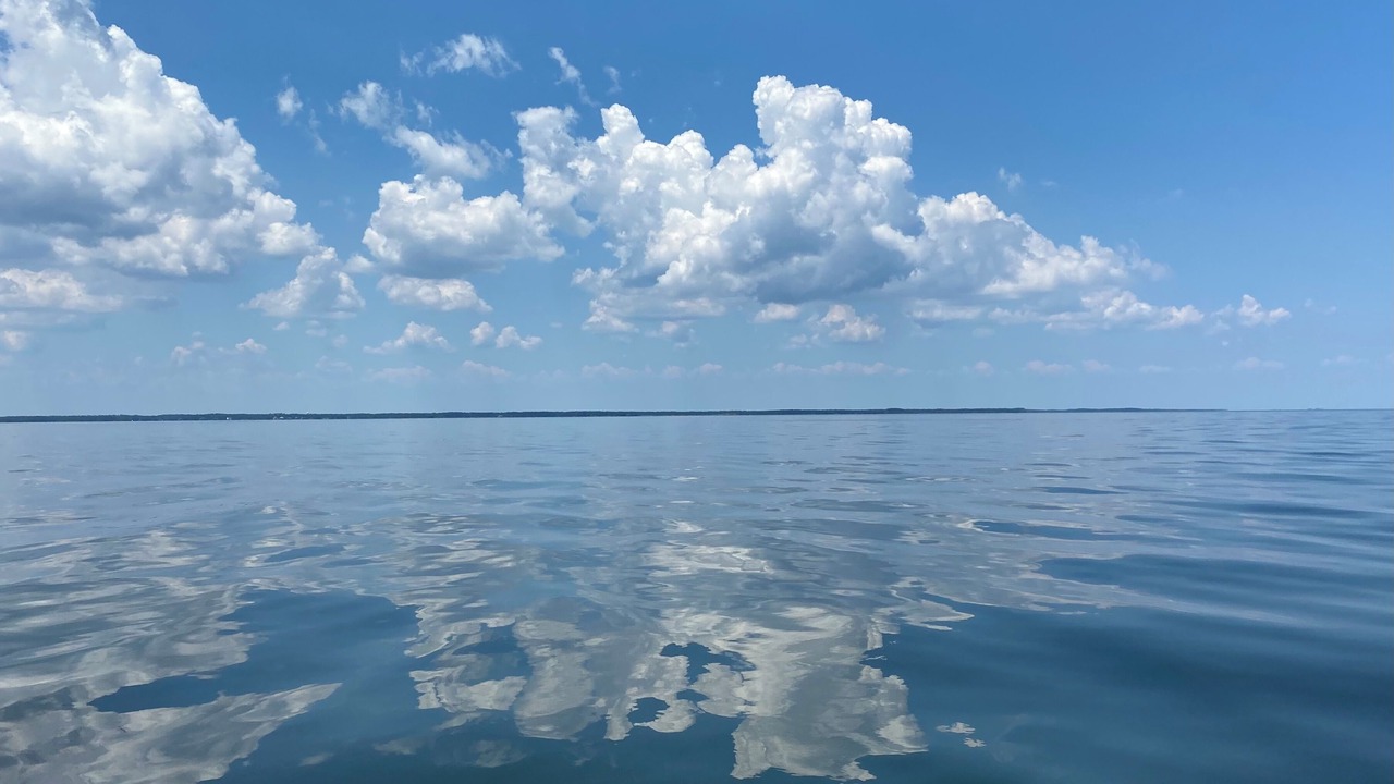 Photo of Others in Cedar Island