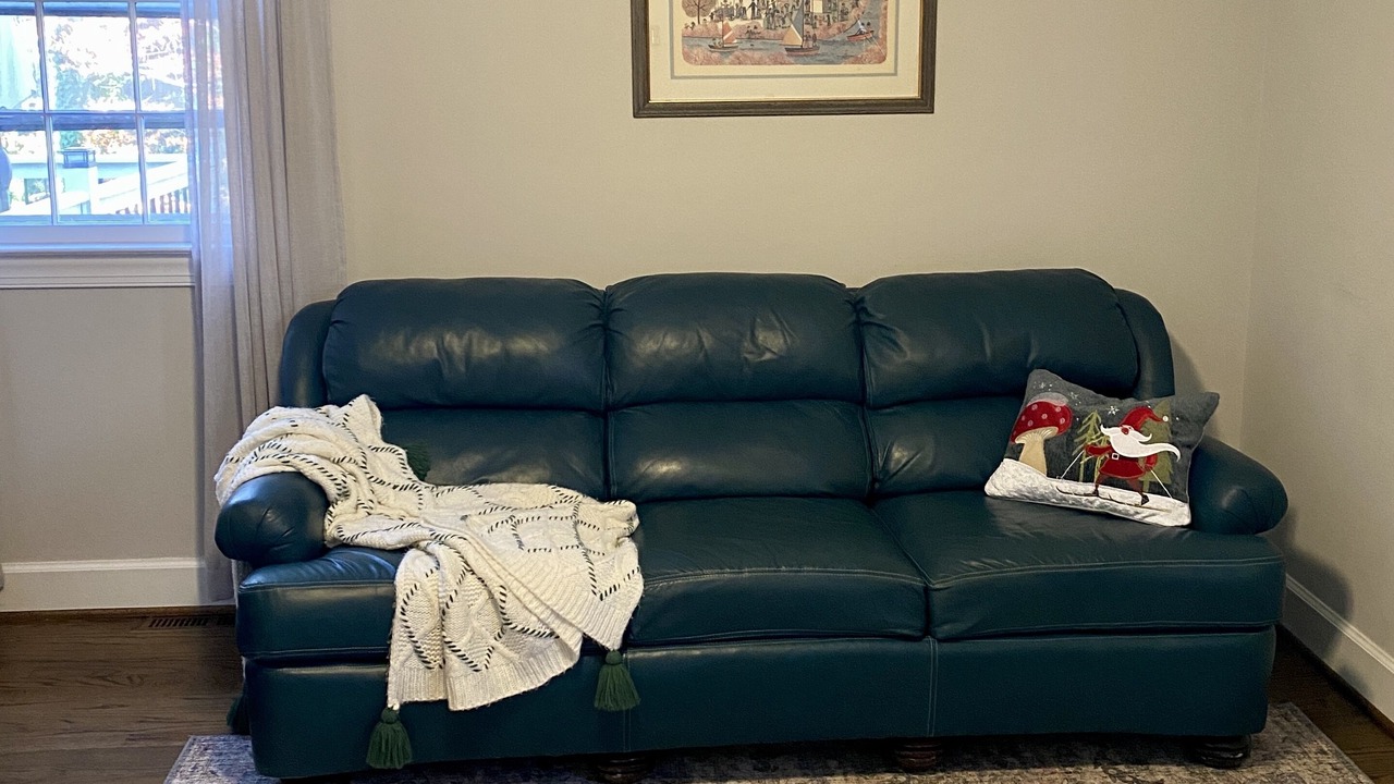 Photo of Livingroom in Raleigh