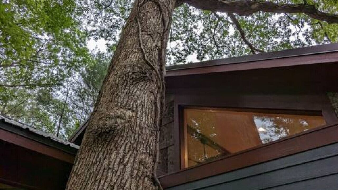 Photo of Outdoor in Marshall