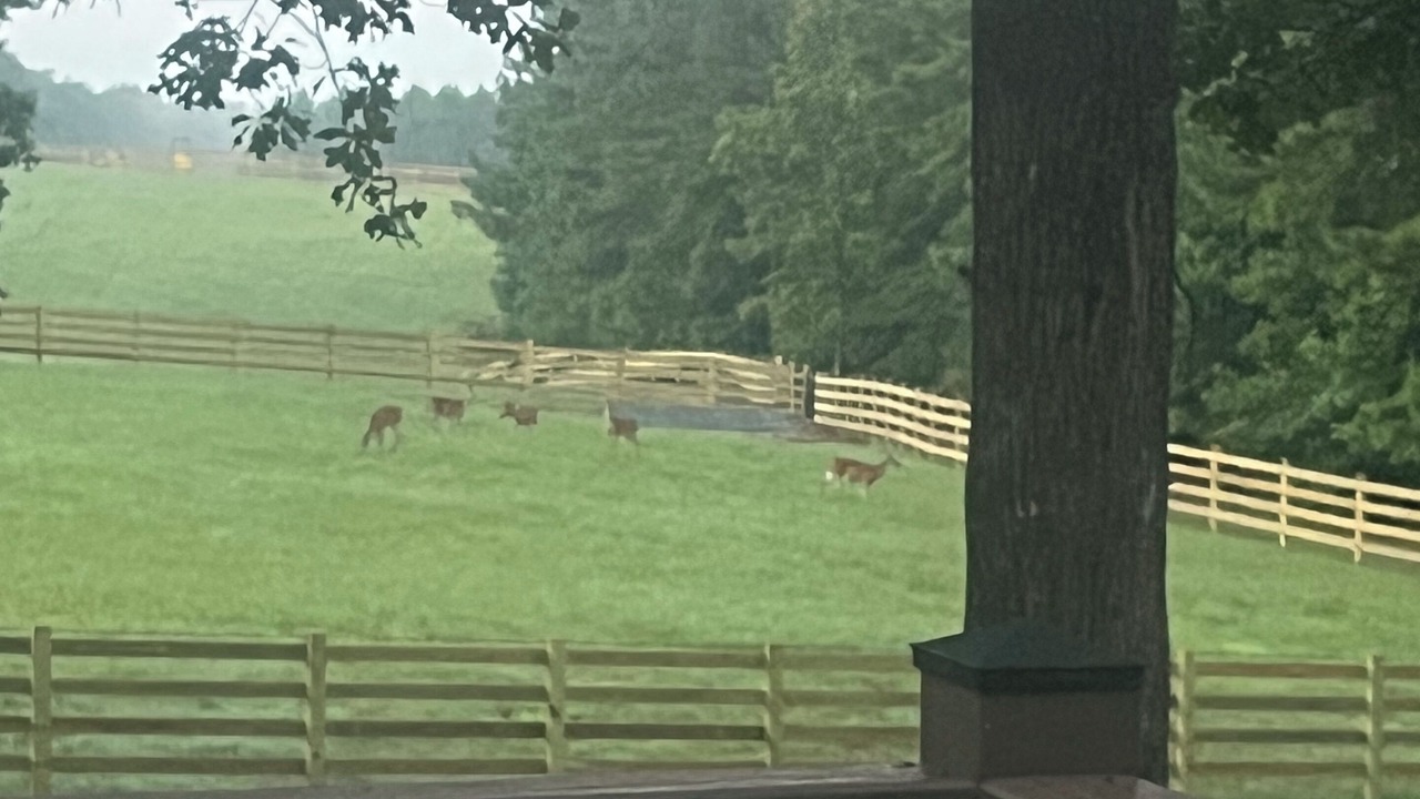 Photo of Outdoor in Columbus
