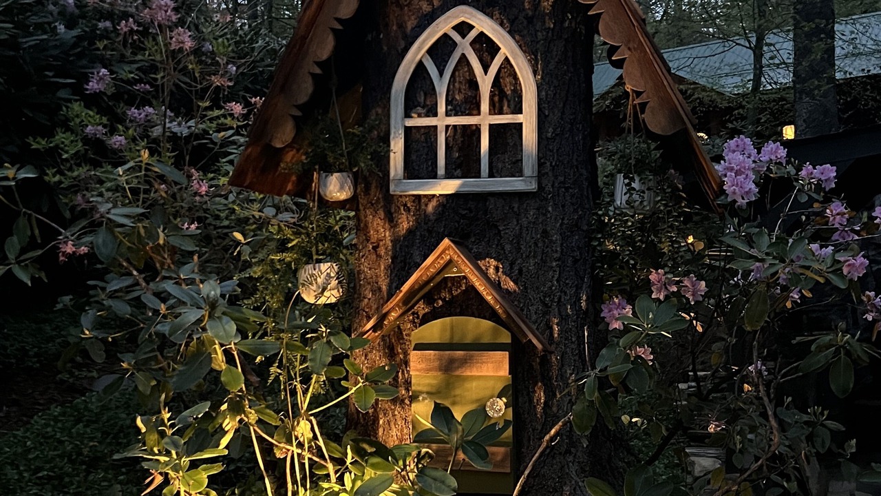 Photo of Outdoor in Newland
