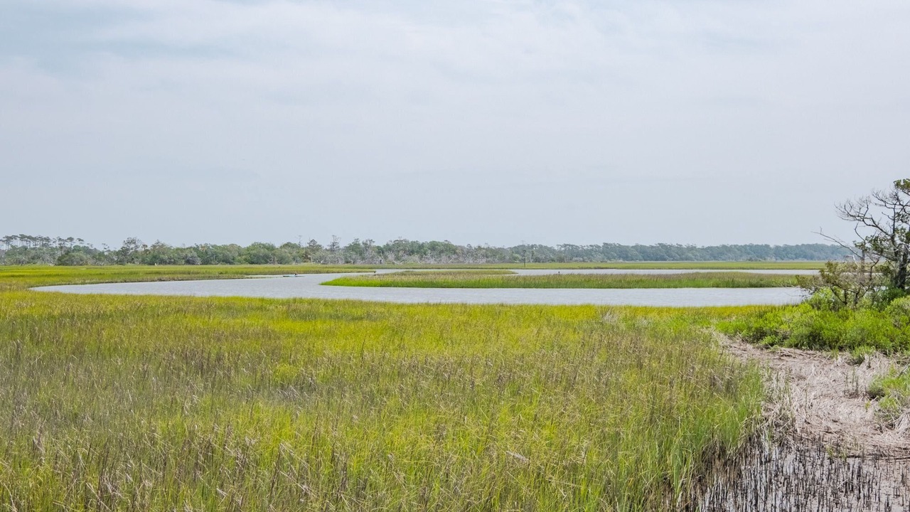 Photo of Others in Bald Head Island