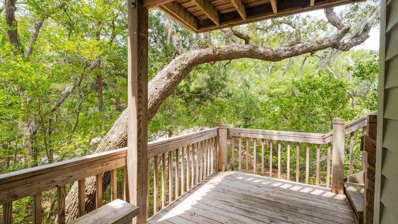 Photo of Outdoor in Bald Head Island
