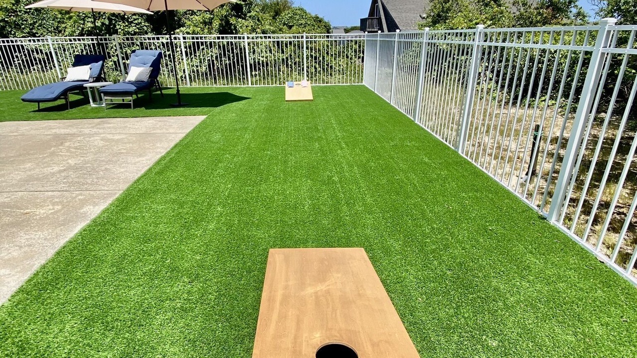 Photo of Outdoor in Duck