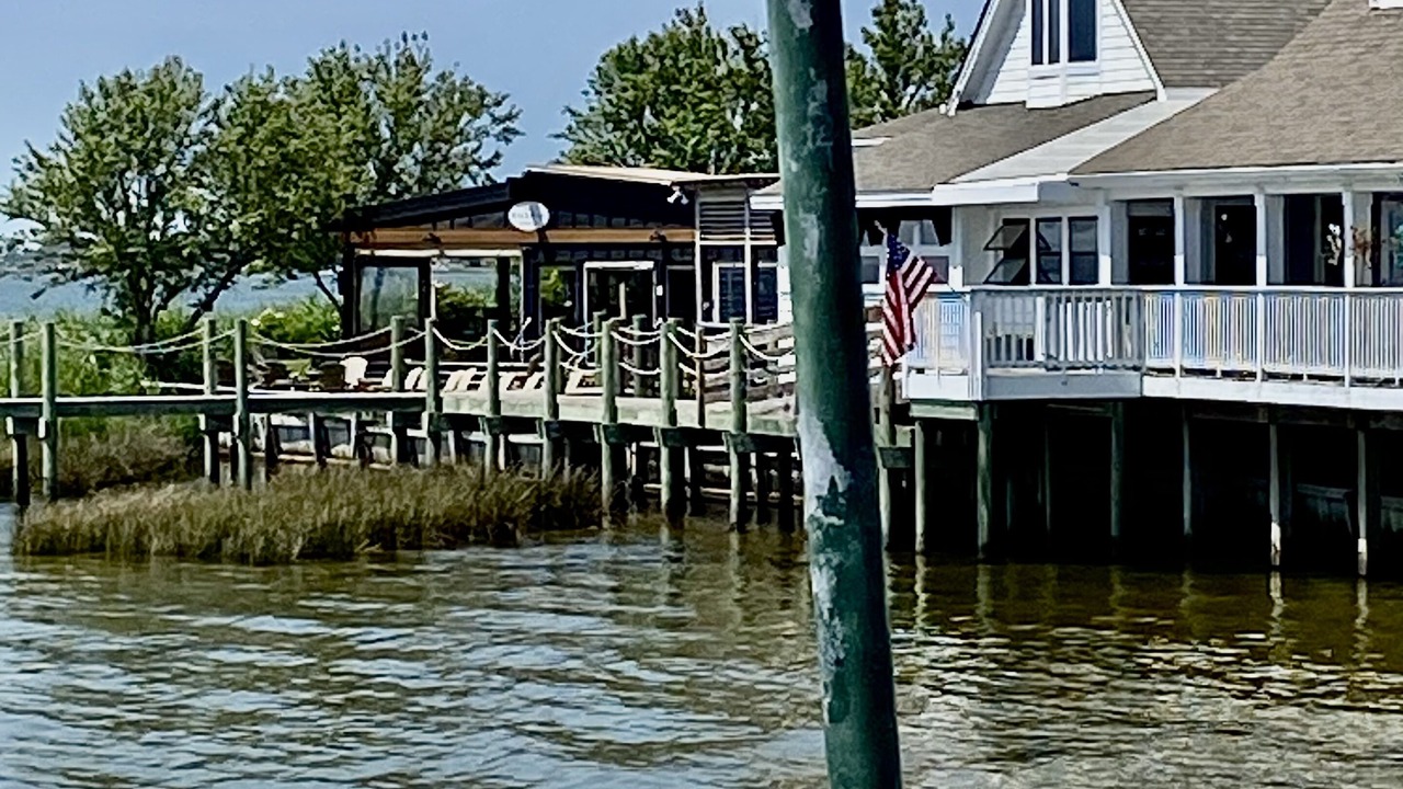 Photo of Others in Duck