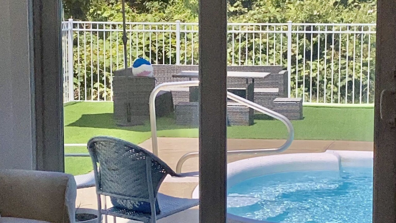 Photo of Others in Duck