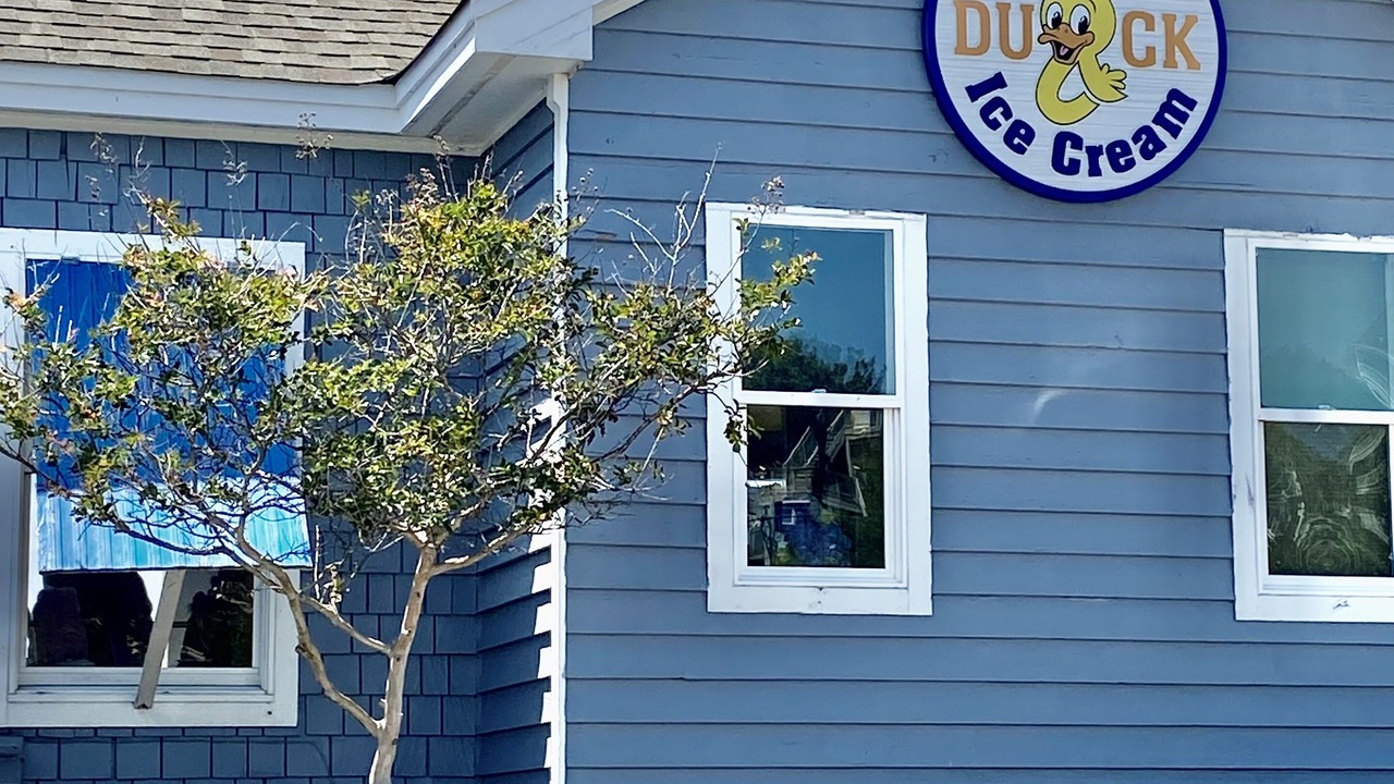 Photo of Outdoor in Duck