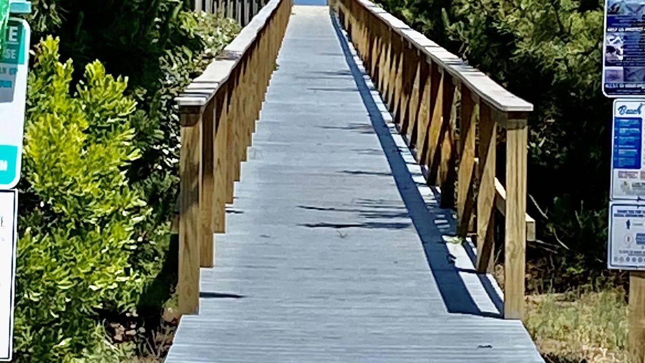 Photo of Outdoor in Duck