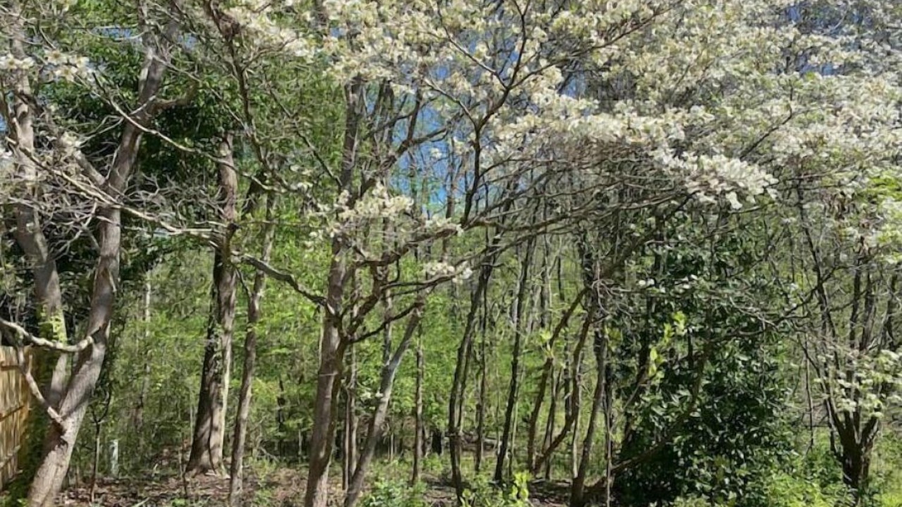 Photo of Outdoor in Winston - Salem