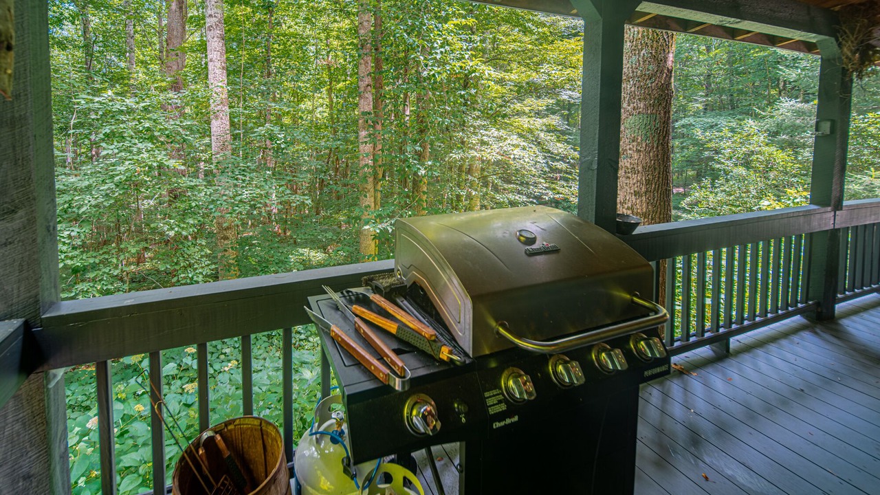 Photo of Outdoor in Zionville