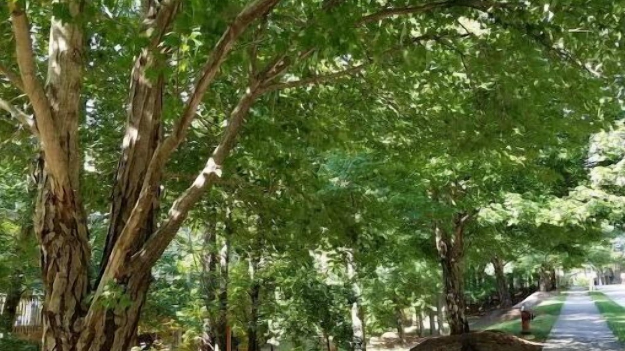 Photo of Outdoor in Northwest Raleigh
